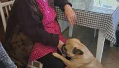 20251104_103047 veľkej veľkosti