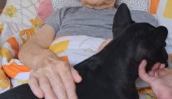 20251104_104555 veľkej veľkosti