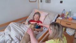 IMG-20250312-WA0052 veľkej veľkosti