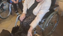 IMG-20250312-WA0053 veľkej veľkosti